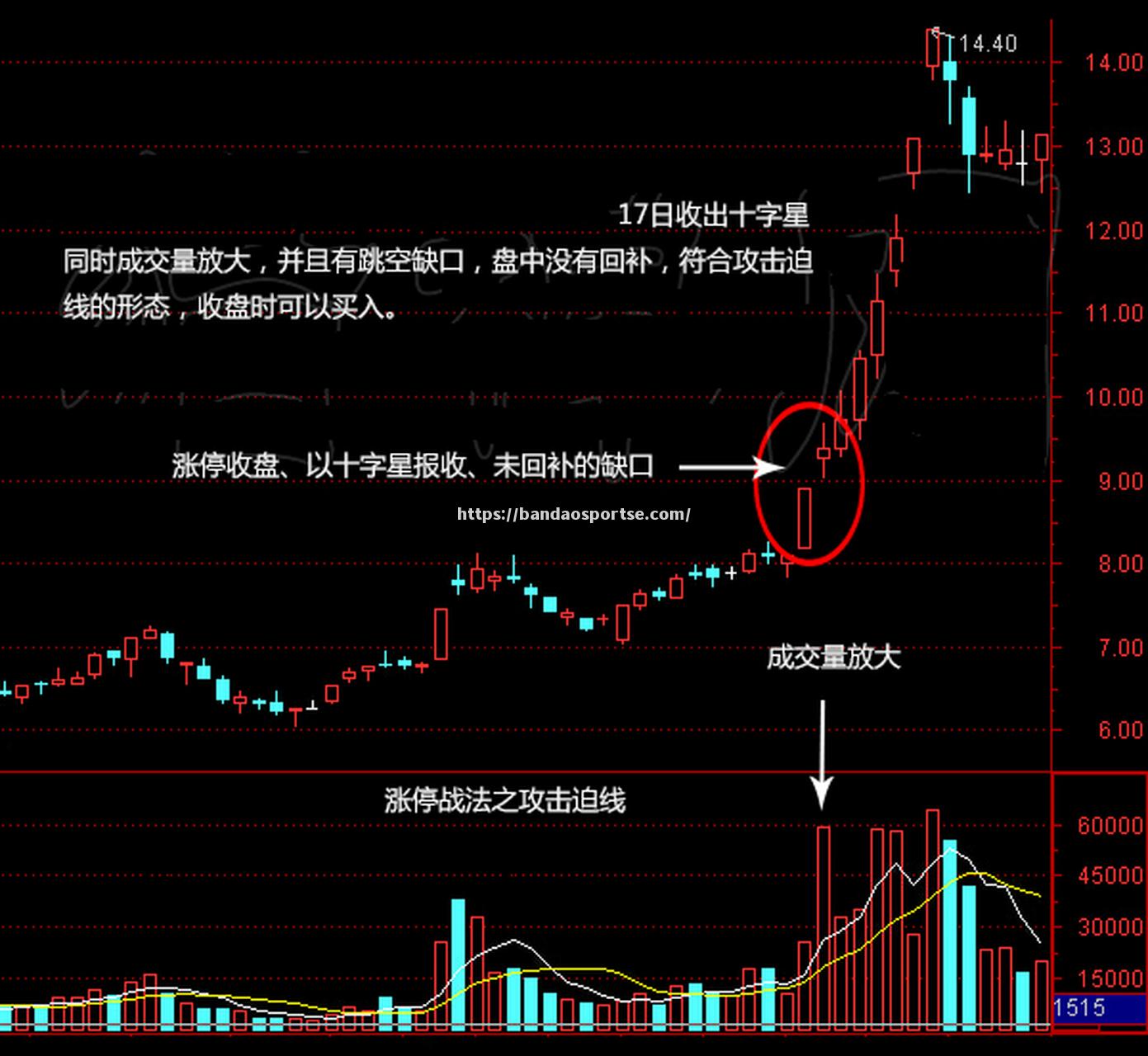 半岛体育-里昂攻击线实力强劲，潜力无限